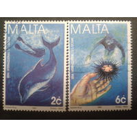 Мальта 1998 год океана