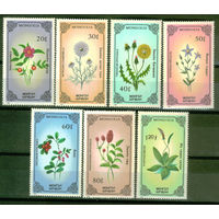 Монголия - 1985 - Цветы - [Mi. 1712-1717] - полная серия - 7 марок. MNH.  (Лот 216AR)