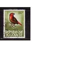 Того-1964 (Мих.402) , гаш.,  , Фауна, Птицы