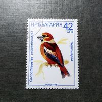 Марка Болгария 1987 год Птица