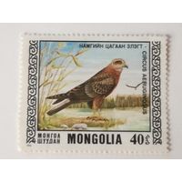 Монголия 1976. Птицы под охраной