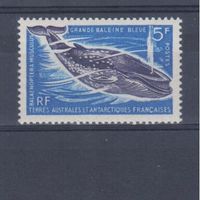 [1711] Французская Антарктика 1966. Морская фауна.Кит.