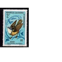 Новая Каледония-1967, Французские колонии,(Мих.449) ** , Фауна, Птицы
