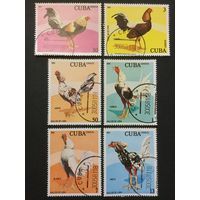 Марки Куба 1981. Фауна Петухи. Серия из 6 марок.