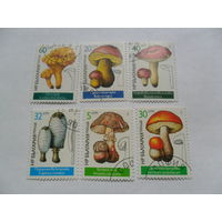 Болгария 1987г, грибы
