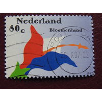 Нидерланды 1997 г.