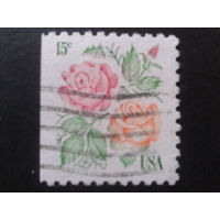 США 1978 стандарт, розы