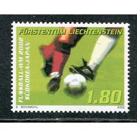 Лихтенштейн. Чемпионат мира по футболу 2002