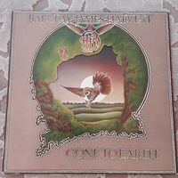 BARCLAY JAMES HARVEST - 1977 - GONE TO EARTH (GERMANY) LP