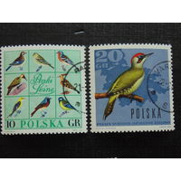 Польша 1966 год. Птицы.