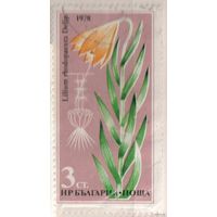 Цветы. 1 марка, 1978г.,гаш. Болгария.