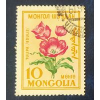 Монголия 1960 цветы тюльпан 1 из 8.