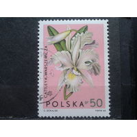 Польша 1965 Орхидея