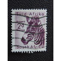 Южная Африка. Фауна.