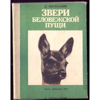 Звери Беловежской пущи (книжка-раскладушка)