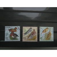Марки - Германия 1998 птицы фауна водоплавающие
