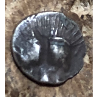 Пантикапей. 470- 460 год до н.э. Серебро Диобол, 0,13 гр.5,5 мм