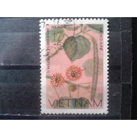 Вьетнам 1974 Растение