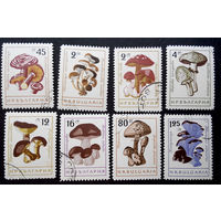 Болгария 1961 г. Грибы. Флора, полная серия из 8 марок #0126-Ф1