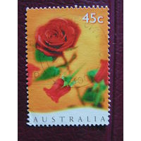 Австралия 1997 г. Цветы.