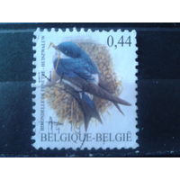 Бельгия 2004 Стандарт, птица 0,44