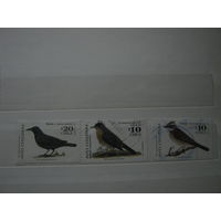 Марки - Чили фауна птицы