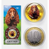 Коллекционная монета Сеттер
