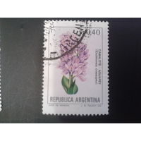 Аргентина 1983 Цветы 0,40