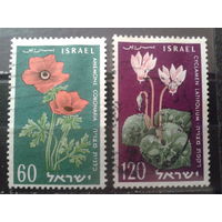 Израиль 1959 Цветы