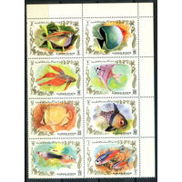 Аджман (ОАЭ) - 1972г. - Рыбки - полная серия, MNH [Mi 1312-1319] - 8 марок - сцепка (часть листа)