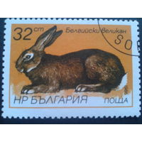 Болгария 1986 кролик