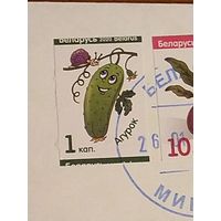 Беларусь разновидность марки в 1 копейку искажение изображения сдвиг просечки на конверте флора