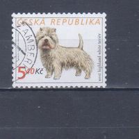 [383] Чехия 2001. Фауна.Собака.Терьер. Гашеная марка.