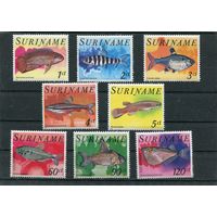 Суринам. Экзотические рыбы