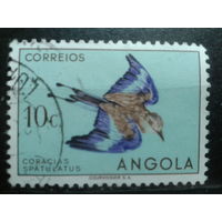 Ангола 1951 Птица