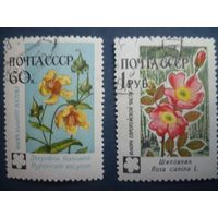 1960 No по кат. Загорского 2415, 2416  Флора СССР.