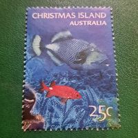 Австралия 2004. Остров Рождества. Рыбы