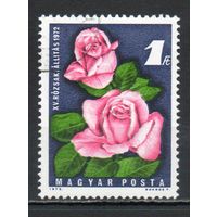 15-я национальная выставка роз Венгрия 1972 год серия из 1 марки