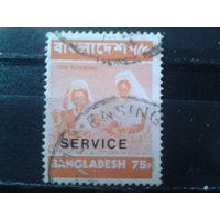 Бангладеш 1976 Служебная марка Надпечатка Сбор урожая чая
