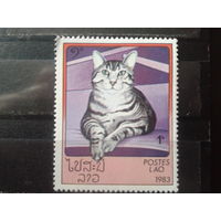 Лаос 1983 Кошка**