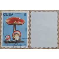Куба 1989 Съедобные грибы.5 с