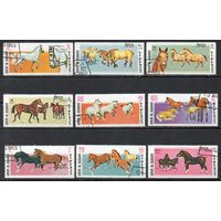 Лошади Умм-эль-Кайвайн ОАЭ 1969 год серия из 9 марок
