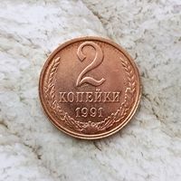 2 копейки 1991(Л)года СССР. UNC! Монета красного цвета!