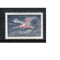 СССР-1972, (Заг.4025)  **, Фауна, Птицы, Розовая чайка