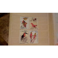 Птицы, фауна, марки, Сан-Томе и Принсипе, 1992