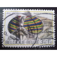 Бельгия 1971 Насекомое