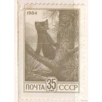 Соболь. 1 марка, 1984г., чистая. СССР.