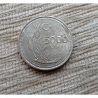 Werty71 Турция 5000 лир 1994